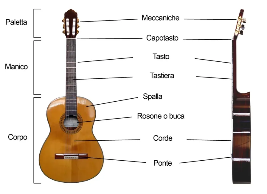 Struttura di una chitarra classica con i nomi di tutte le parti fondamentali dello strumento